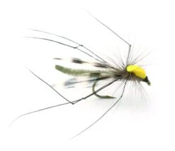 Parachute Longlegs - 10