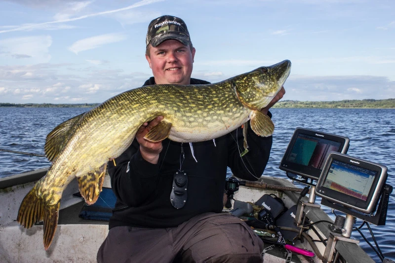 Eastfield Wingman 21cm, 80g â Image 2