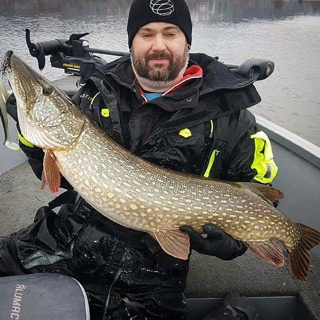 Eastfield Wingman 21cm, 80g â Image 3