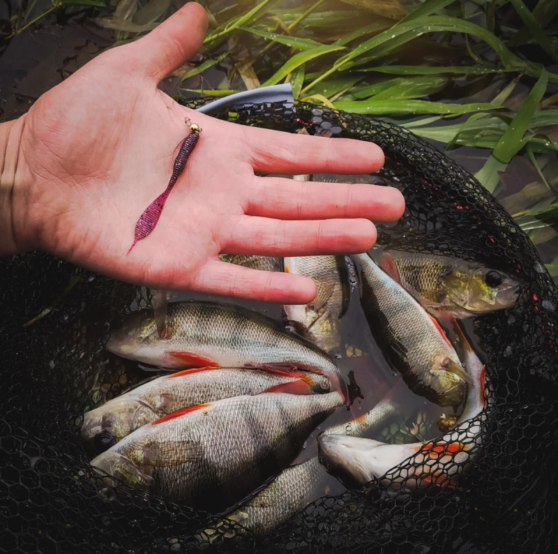 Perch Professor Leech 7cm (8-pack) â Image 2