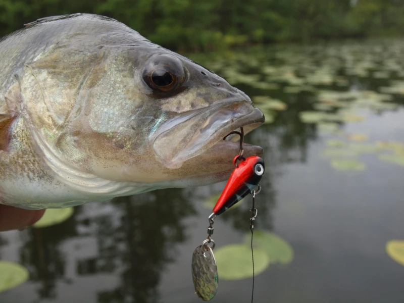 Spinmad Tail Spinner Mag 6g â Image 2