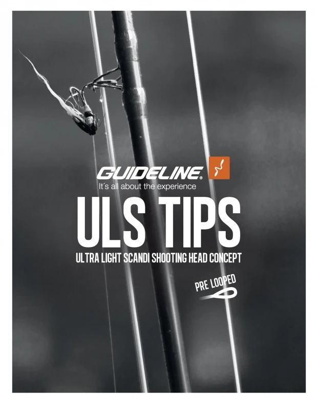 Guideline ULS Tip 10' â Image 2