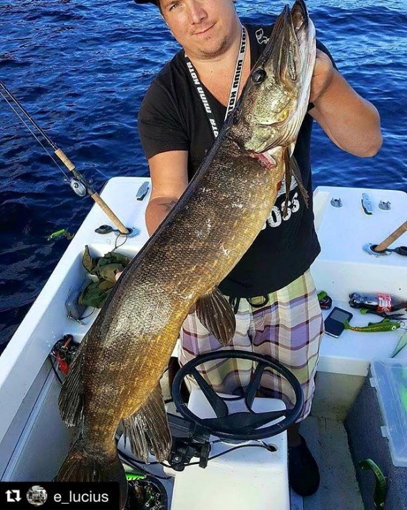 Headbanger Tail â Image 5