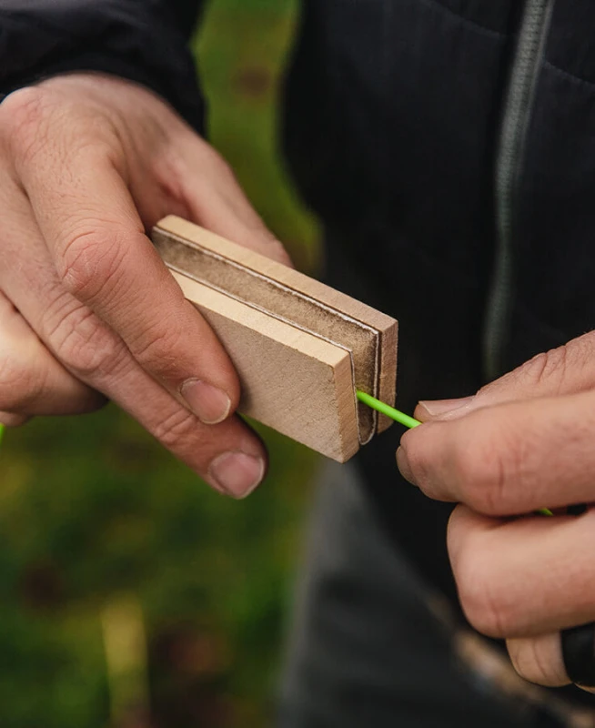 Loon Line Speed â Image 4