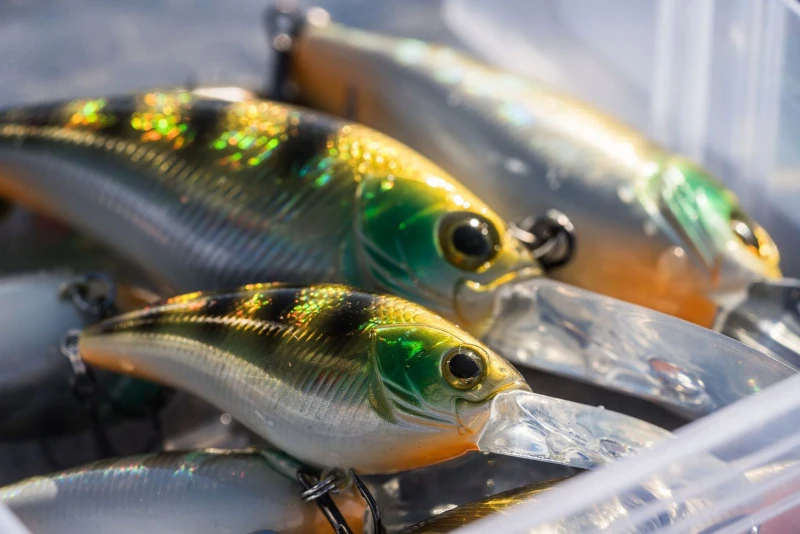 Shimano Yasei Cover Crank F â Image 4