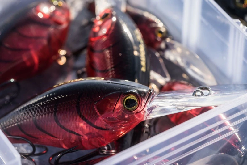 Shimano Yasei Cover Crank F â Image 5