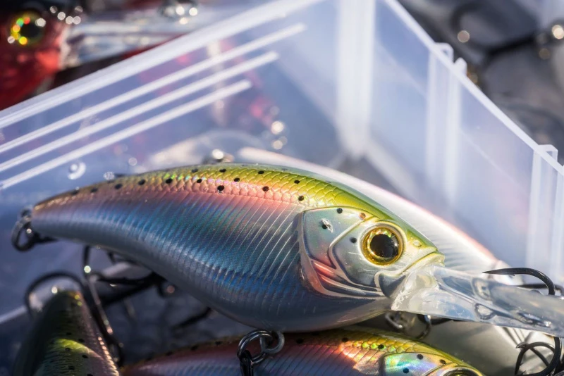 Shimano Yasei Cover Crank F â Image 6