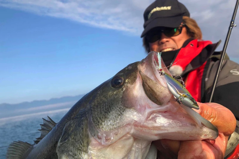 Megabass Dyna Response 14g â Image 2