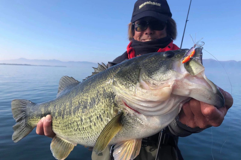 Megabass Dyna Response 14g â Image 3