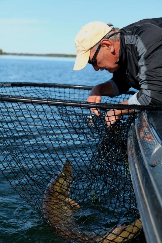 Drifter Tackle Predator Net 48 Black Handle â Image 4