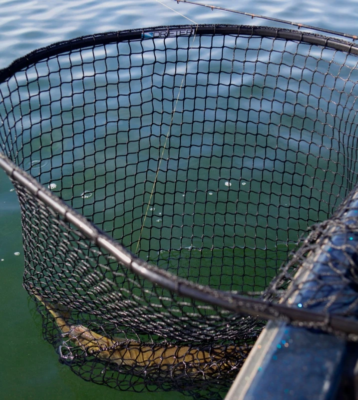 Drifter Tackle Predator Net 48 Black Handle â Image 5