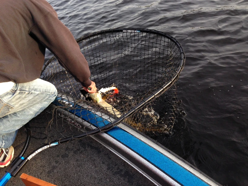 Drifter Tackle Predator Net 48 Black Handle â Image 6