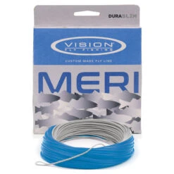 Vision Meri Fast Inter